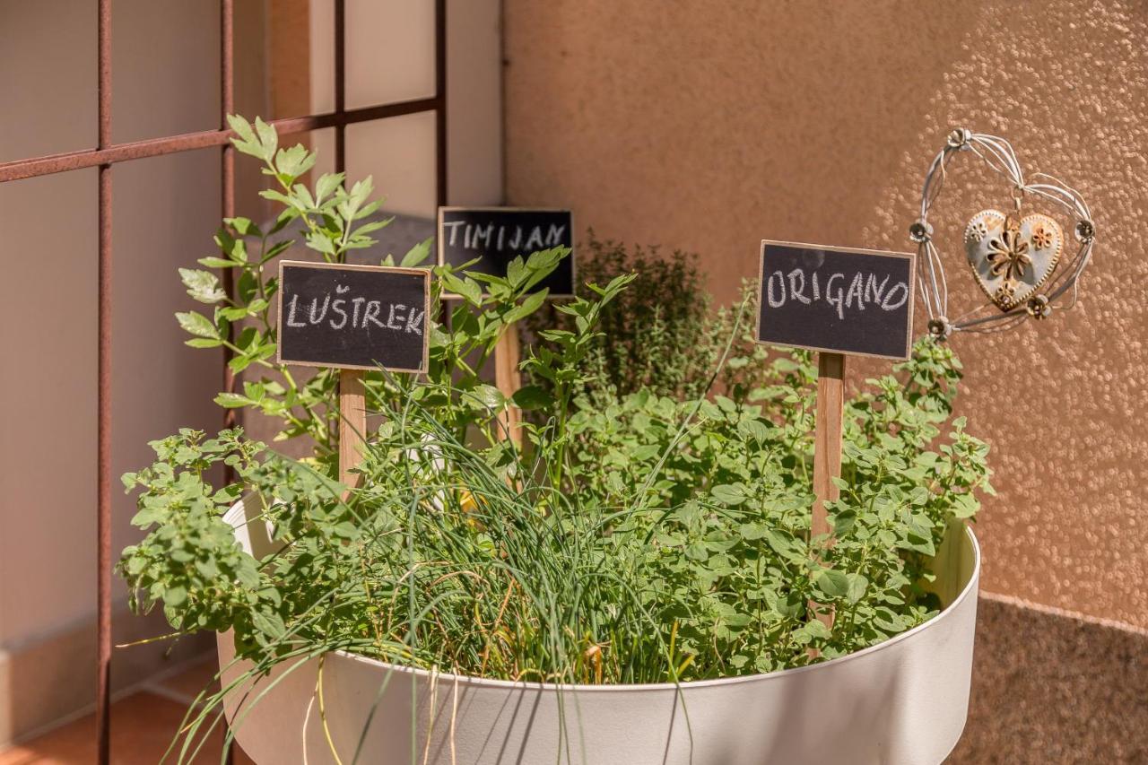 Apartma Summer Garden Блед Экстерьер фото